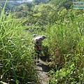 P1170516.jpg