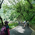 P1240675.jpg