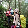 P1340454.jpg