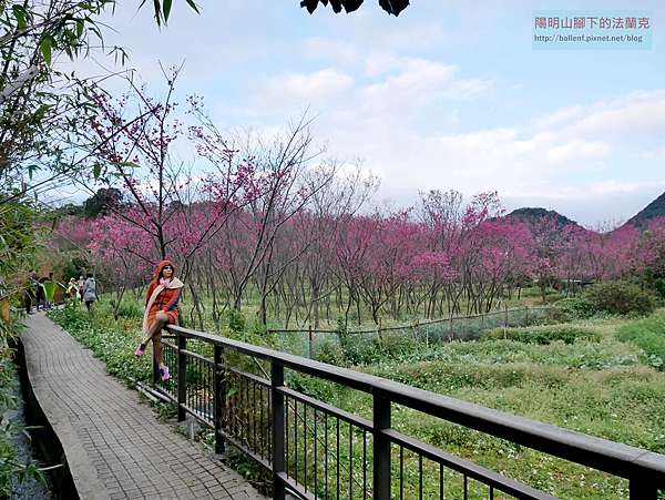19 08 台北市北投區東昇步道 十八挖水圳步道 風尾步道賞櫻 陽明山腳下的法蘭克 痞客邦 19 08 台北市北投區東昇步道 十八挖水圳步道 風尾步道賞櫻 陽明山腳下的法蘭克 痞客邦