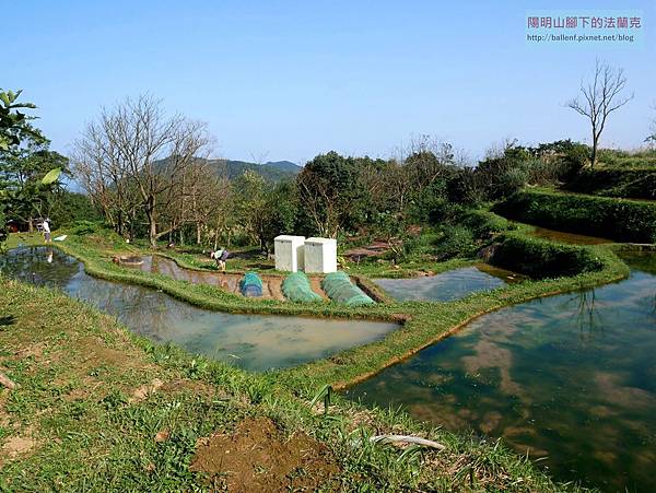 P1370090.jpg P1370090.jpg