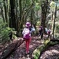P1430045-2.jpg