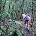 P1430082.jpg
