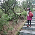 P1450197.jpg