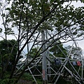 P1450200.jpg