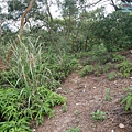 P1450202.jpg