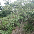 P1450214.jpg
