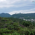 P1450216.jpg