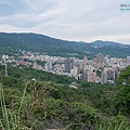 P1450217.jpg