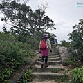 P1450218.jpg