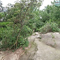 P1450222.jpg