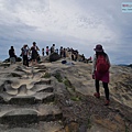 P1450223.jpg