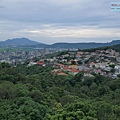 P1450226.jpg