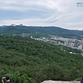 P1450230.jpg