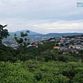 P1450235.jpg
