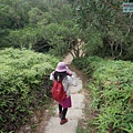 P1450236.jpg