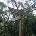P1450239.jpg