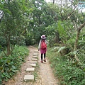 P1450241.jpg