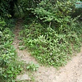 P1450247.jpg