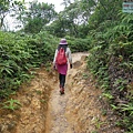 P1450248.jpg