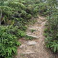 P1450255.jpg