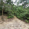 P1450256.jpg