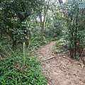 P1450259.jpg