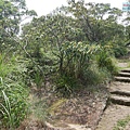P1470378.jpg