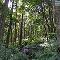 P1490483.jpg