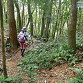 P1490531.jpg