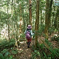 P1490540.jpg