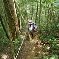 P1490544.jpg