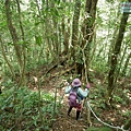 P1490545.jpg