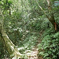 P1490548.jpg