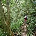 P1490549.jpg