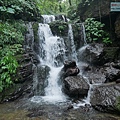 P1490554.jpg