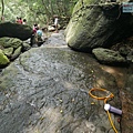 P1490594.jpg