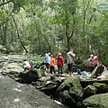 P1490595.jpg