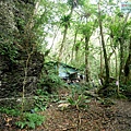 P1490612.jpg