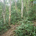P1490631.jpg
