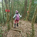 P1490635.jpg