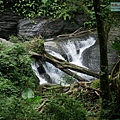 P1490643.jpg