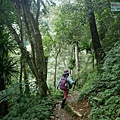 P1490647.jpg