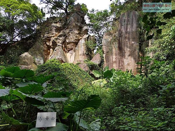 P1550730-.jpg P1550730-.jpg