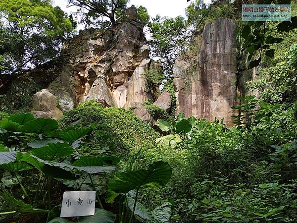 2019 1020 五股 八里觀音山凌雲禪寺 北橫古道 牛寮埔古道 秘境o型 陽明山腳下的法蘭克 痞客邦