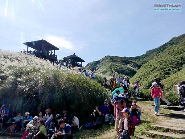 P1570310.jpg P1570310.jpg