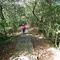 P1570632.jpg