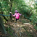 P1570629.jpg