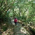 P1570637.jpg
