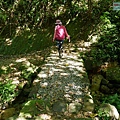 P1570638.jpg